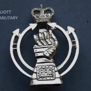 badge with armoured fist and lightning arrows below a crown