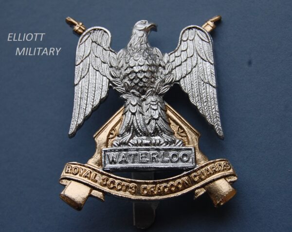 badge with eagle in front of crossed rifles standing above a scroll