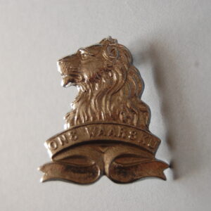 badge with lions head above a scroll