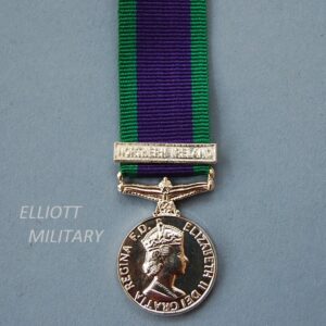 Miniature medal with queens head with purple ribbon with green edges