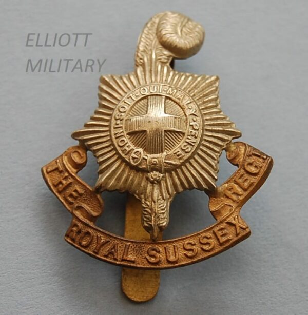 badge with star and feather with scroll reading The Royal Sussex Reg