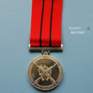 medal showing crossed assault rifles